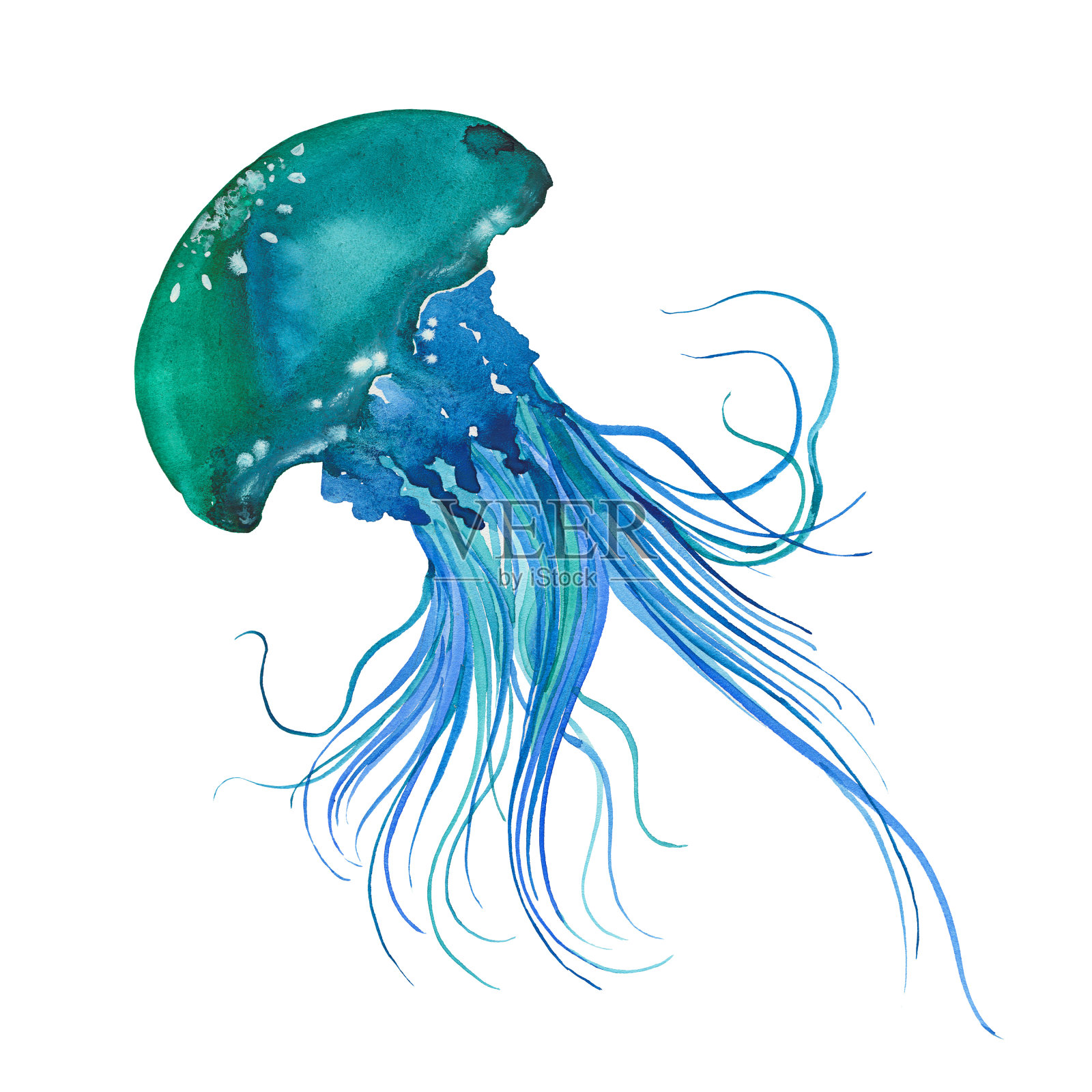 水彩蓝水母插画图片素材