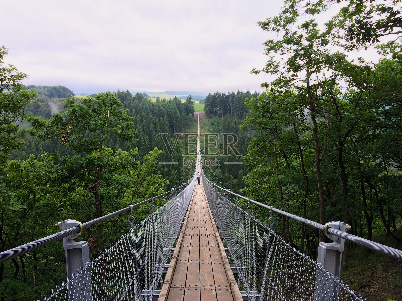 Geierlay吊桥照片摄影图片