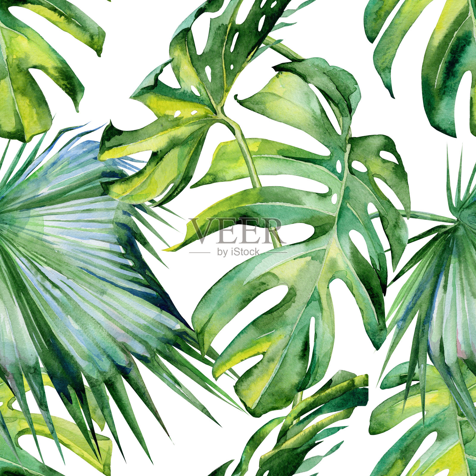 无缝水彩画的热带树叶，茂密的丛林。插画图片素材