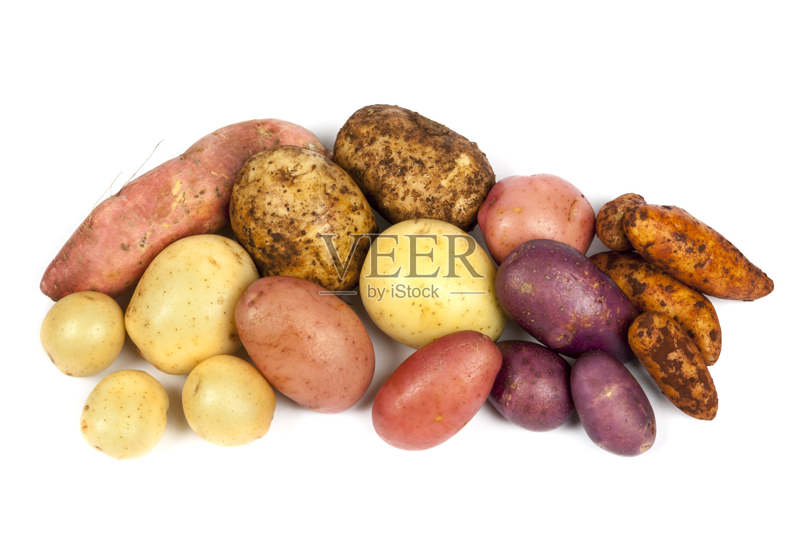 马铃薯品种孤立在白色照片摄影图片