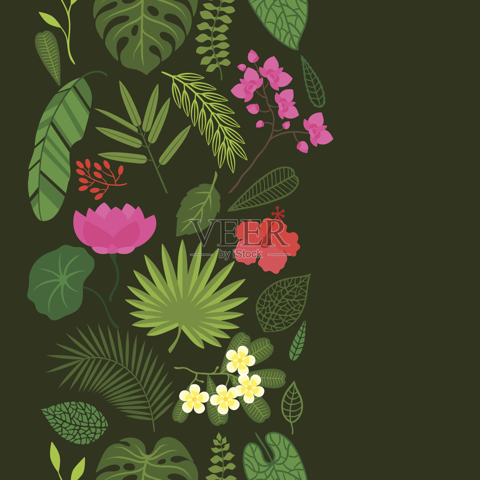无缝模式与热带植物，叶和花。插画图片素材
