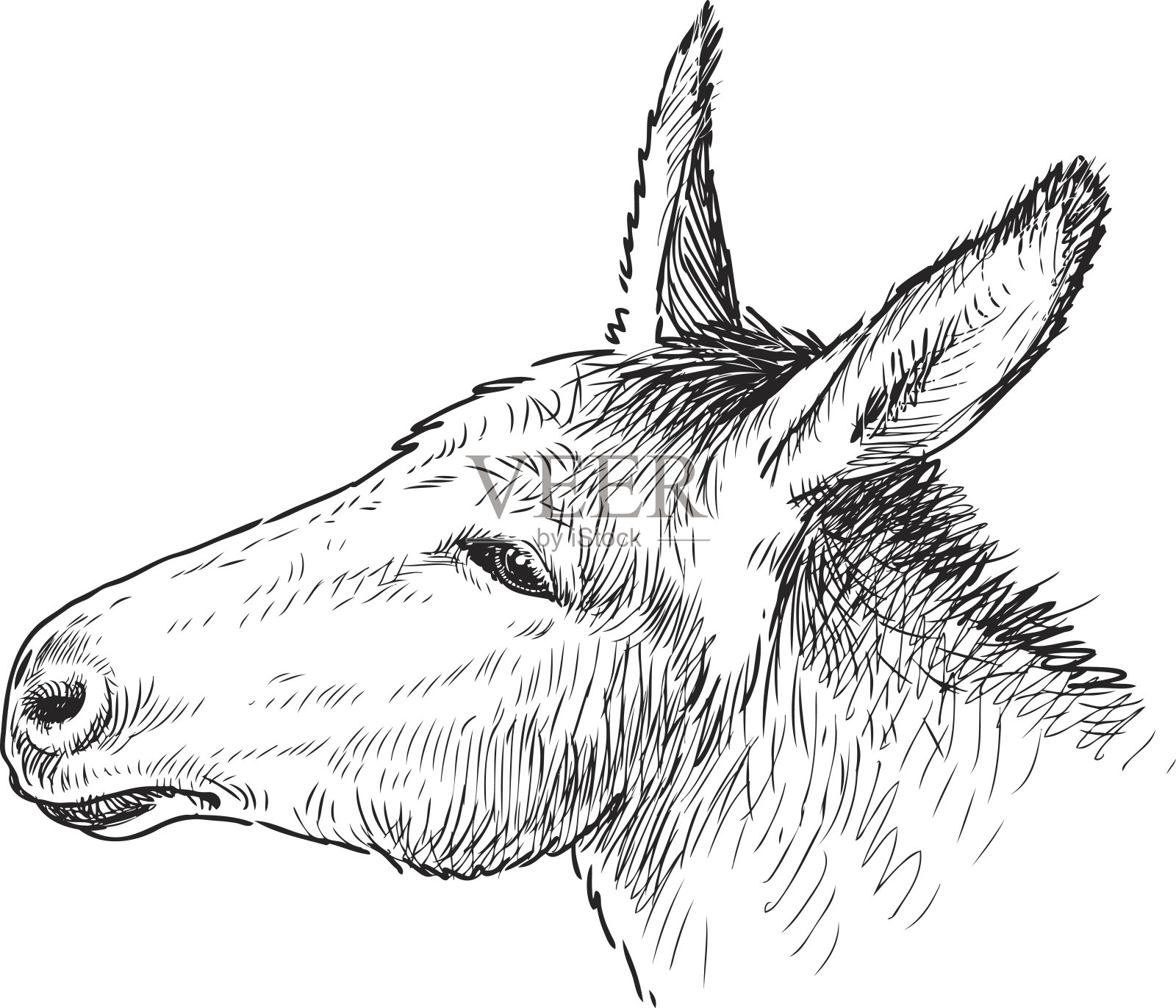 这是一头悲伤的驴的头插画图片素材