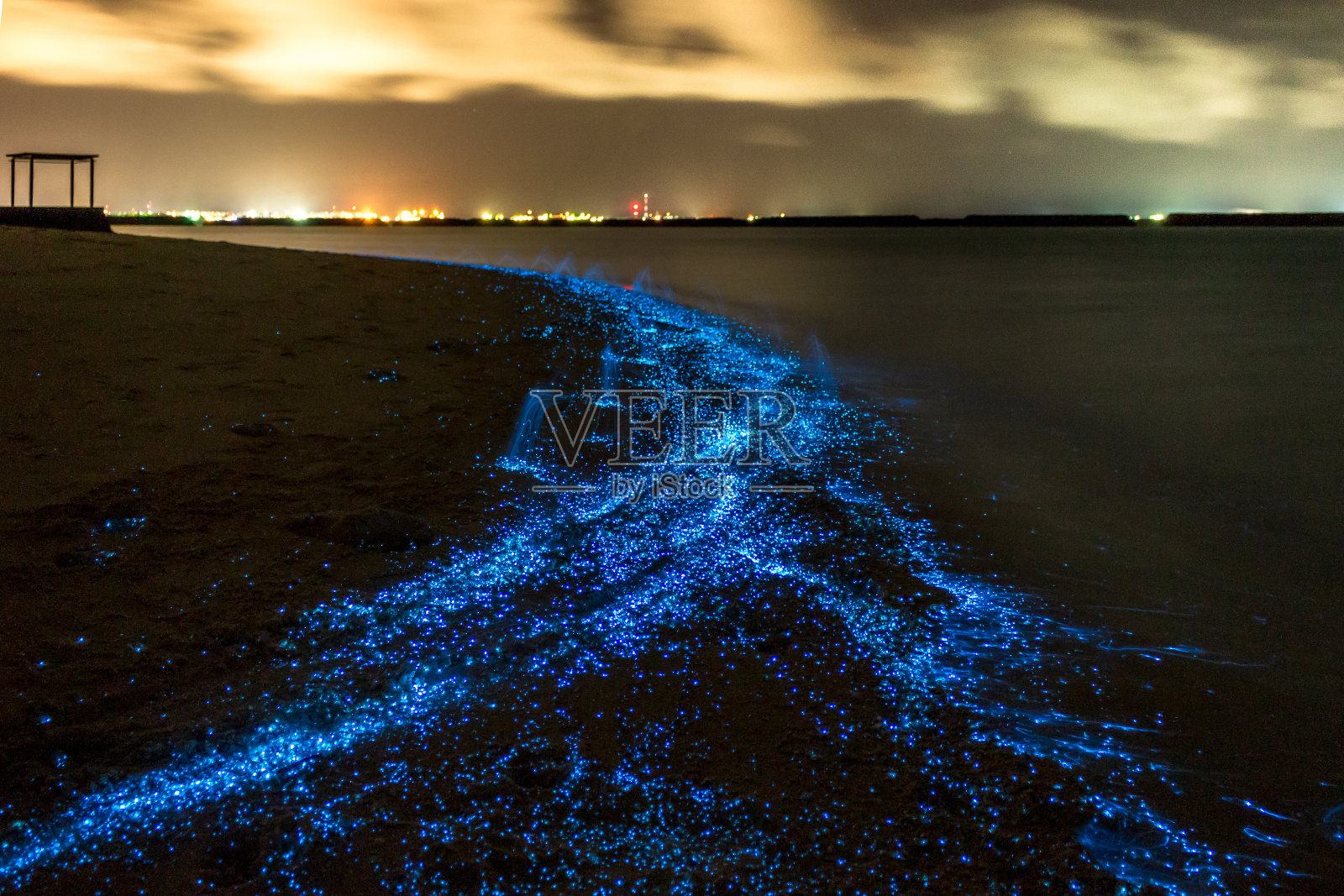 生物发光。马尔代夫浮游生物的照明。照片摄影图片