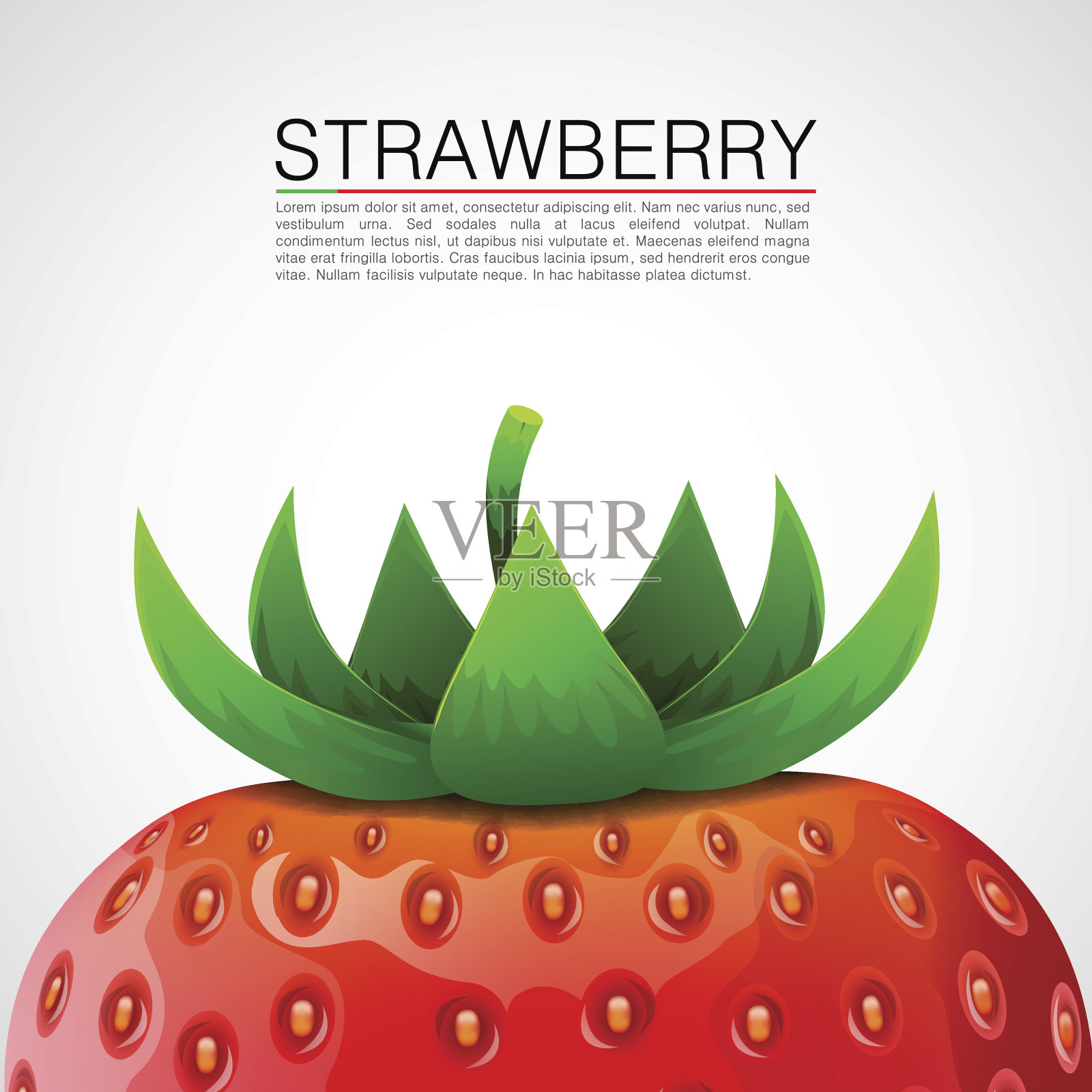 新鲜逼真的草莓背景。插画图片素材