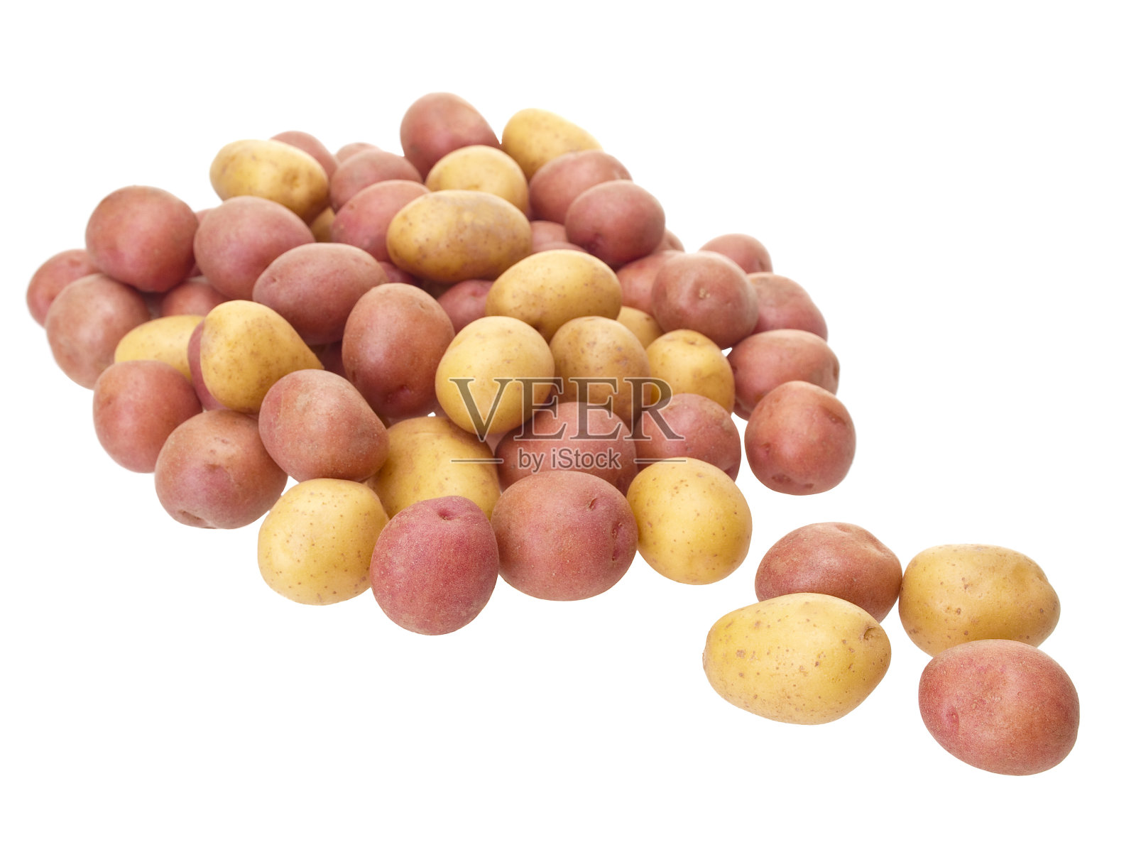 纯白背景上的小土豆照片摄影图片