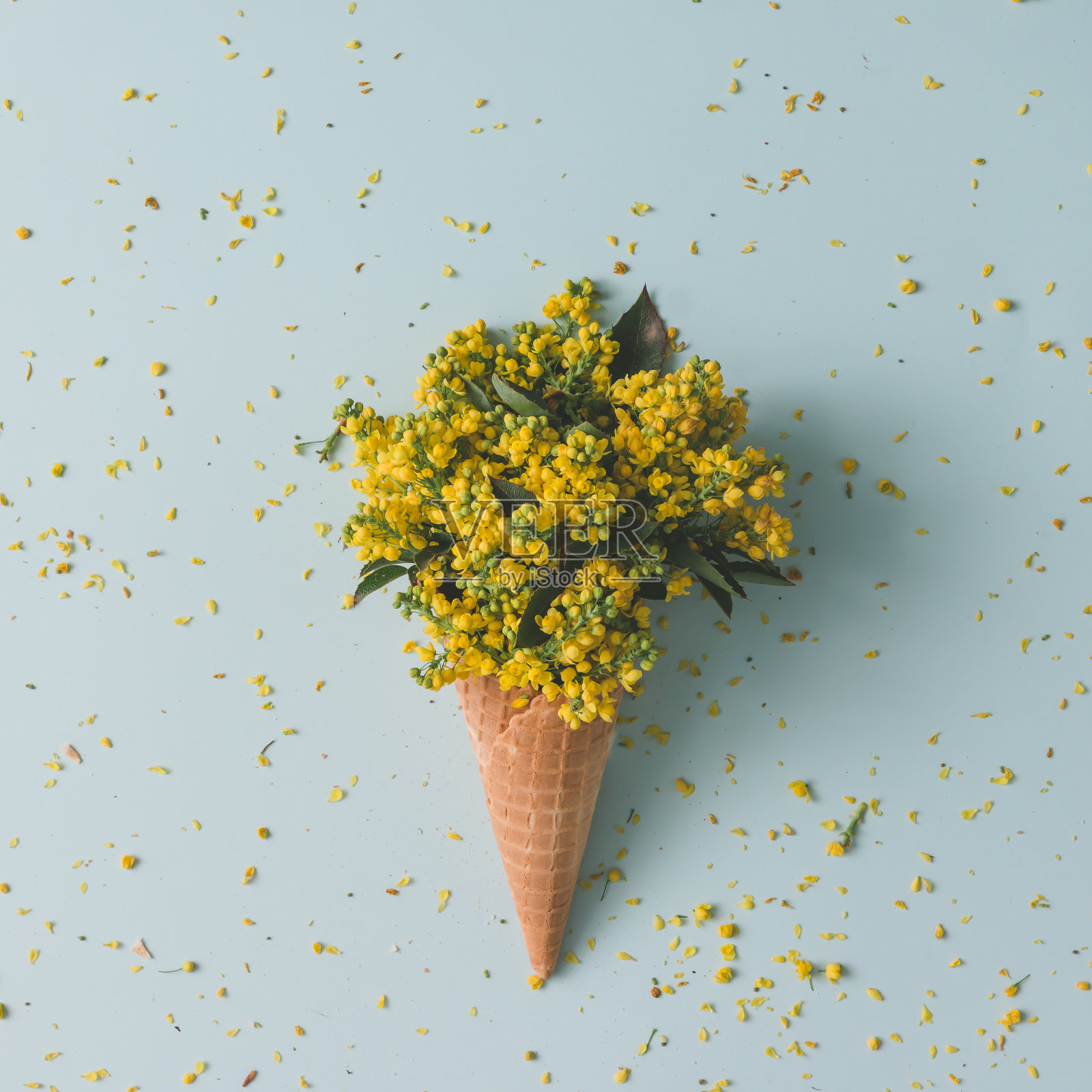 有黄花和黄叶的蛋卷冰淇淋。夏季最小的概念。平的。照片摄影图片