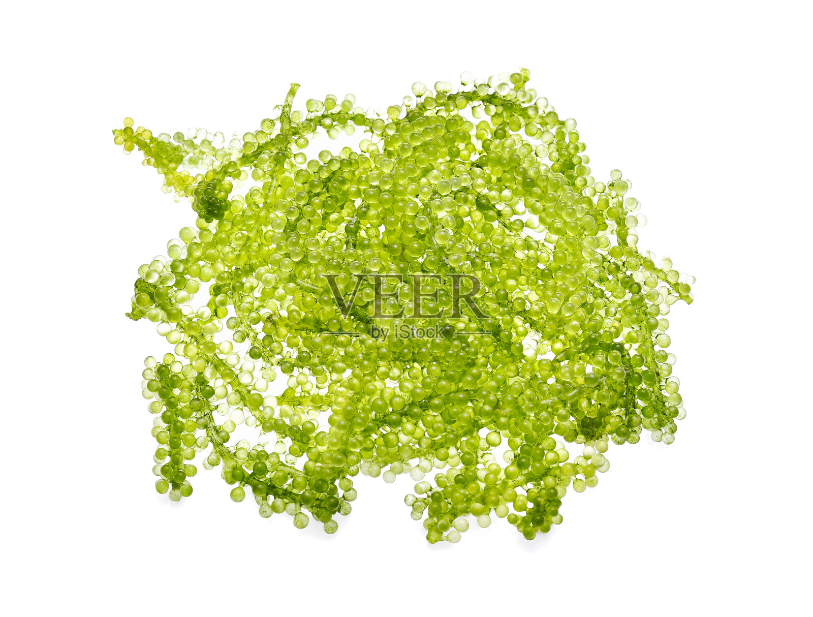 米不斗，葡萄，海藻或绿色鱼子酱在白色的背景照片摄影图片