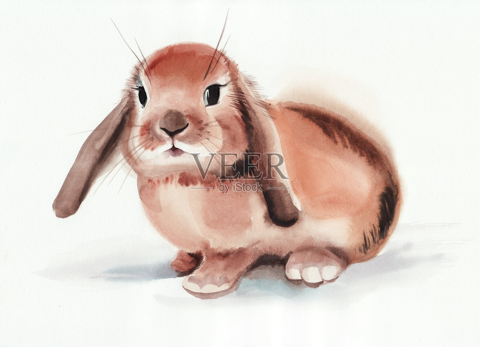 棕色的兔子设计元素图片