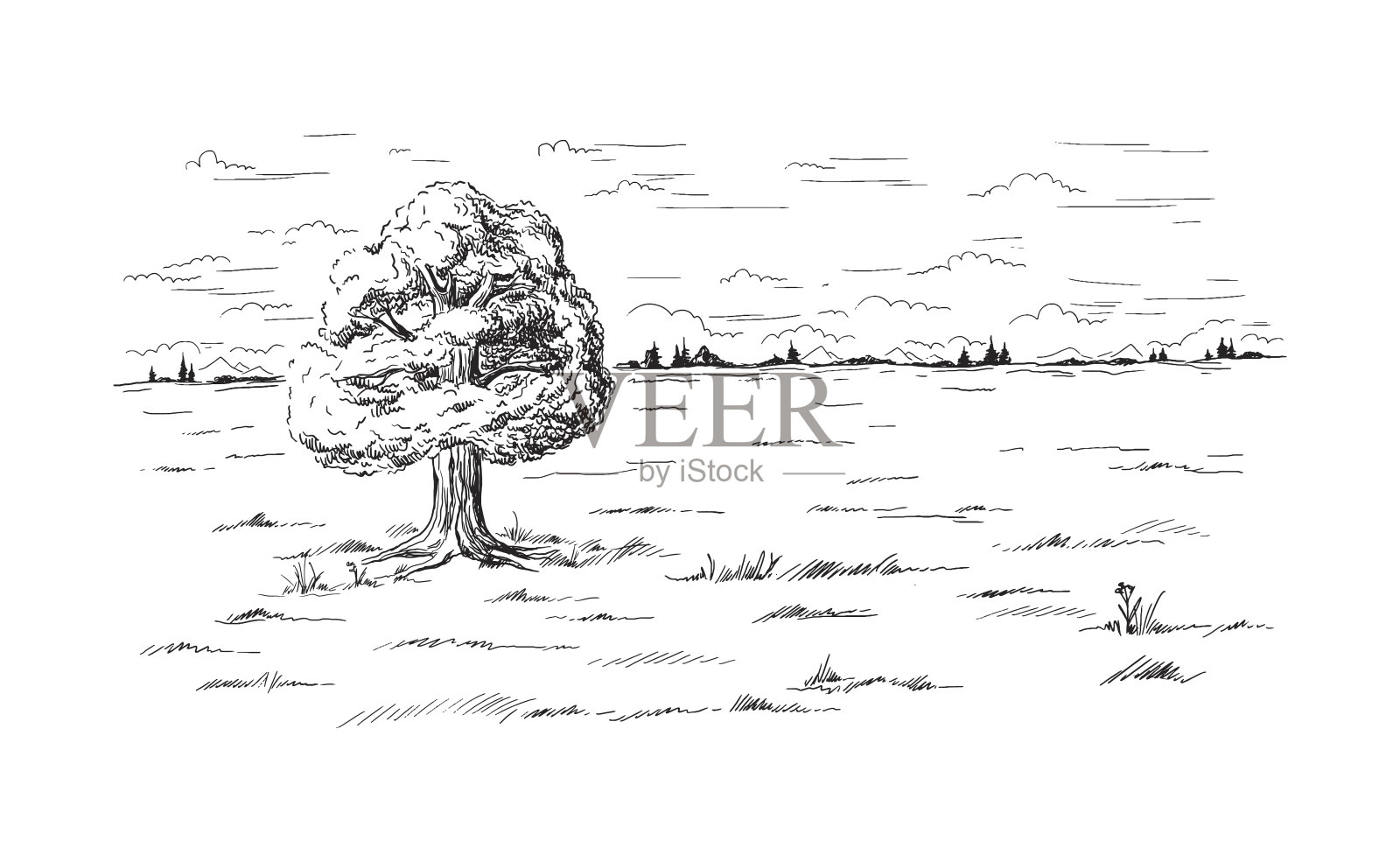 孤独的树站在田野的中央插画图片素材
