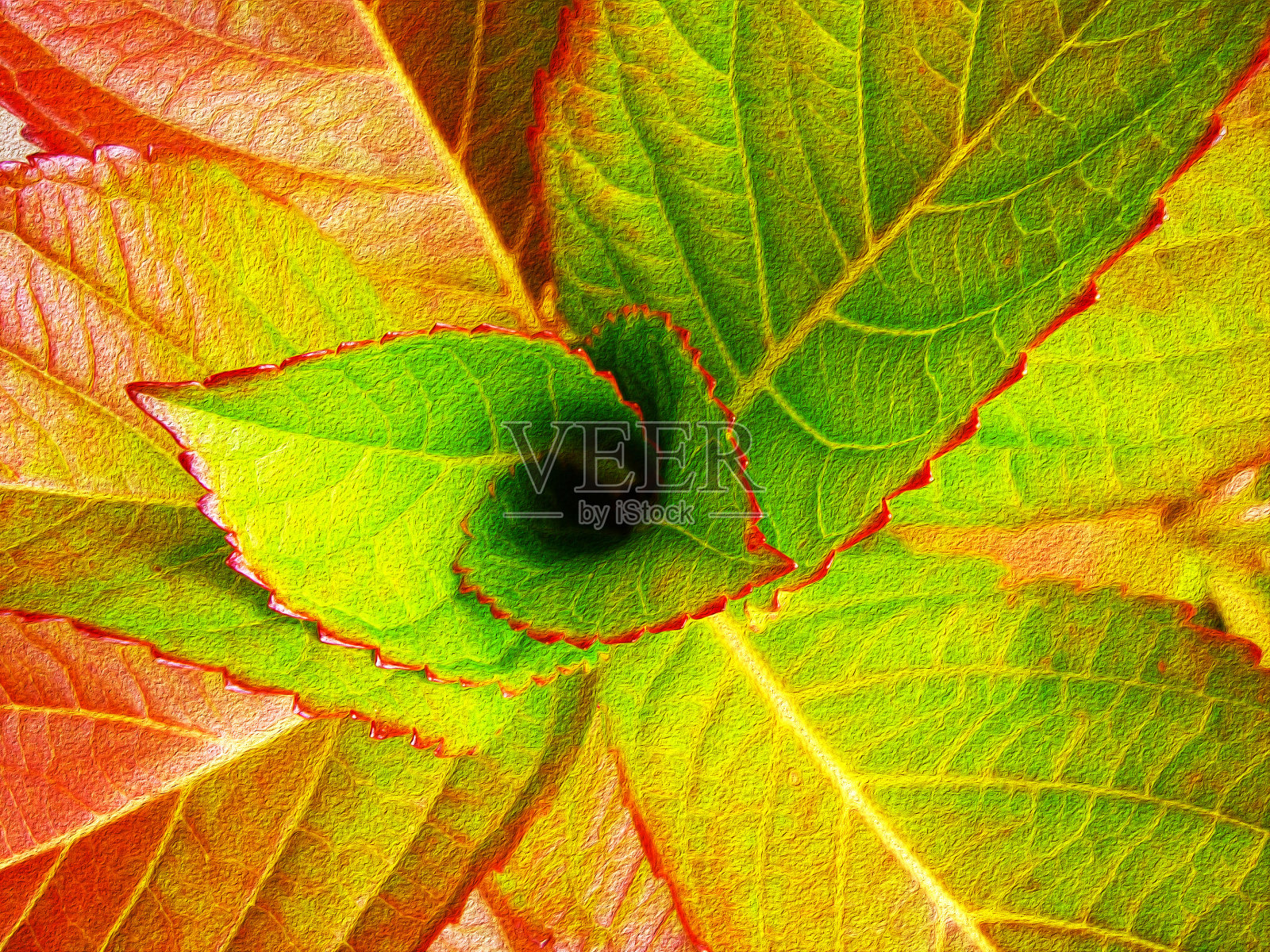 彩色明亮树叶的特写。程式化的绘画。照片摄影图片