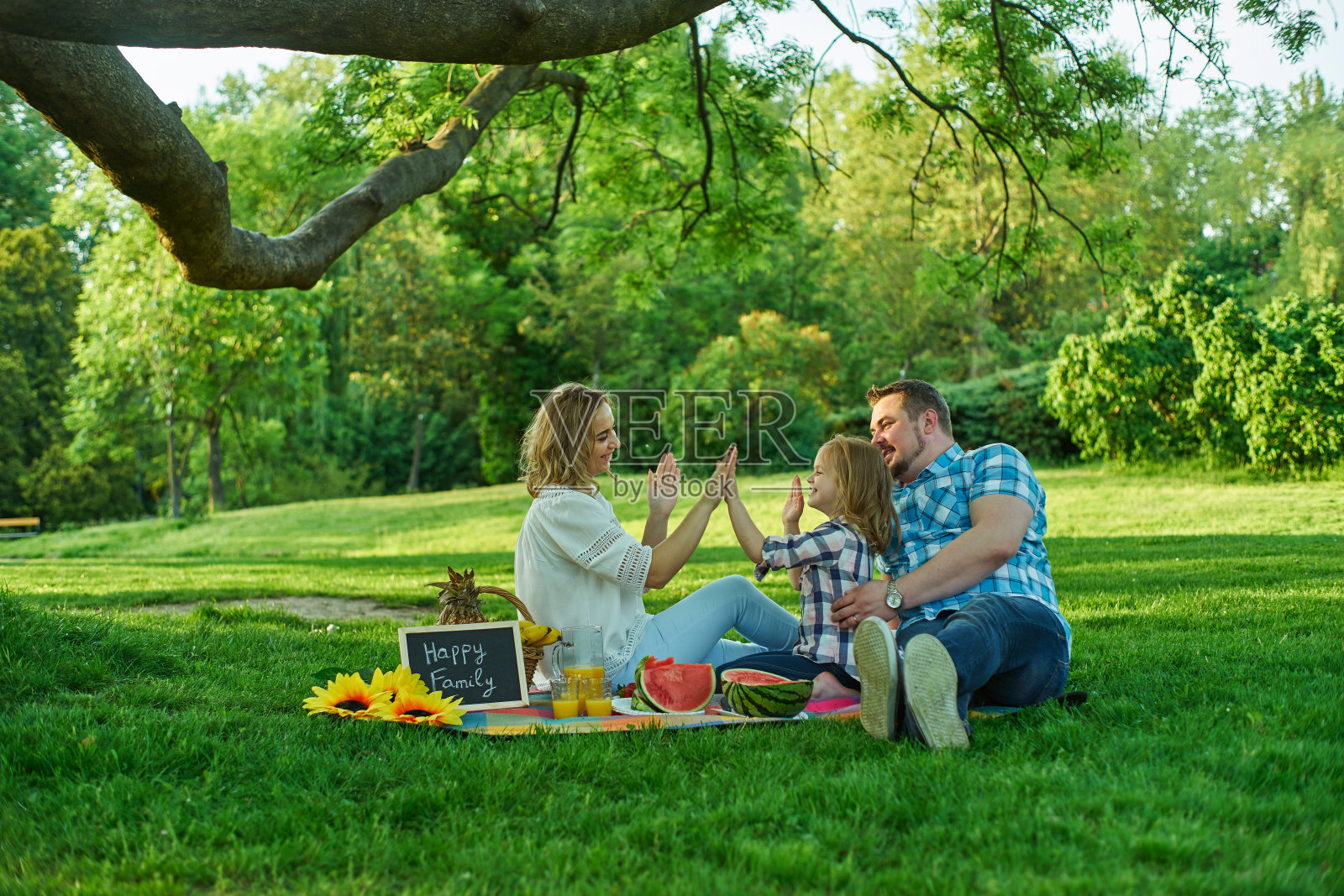 一个幸福的家庭花时间和有乐趣的野餐照片摄影图片