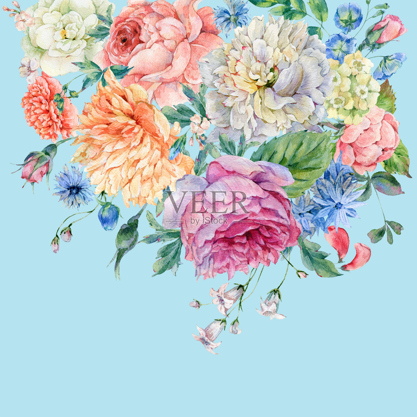 水彩牡丹，玫瑰和野花插画图片素材