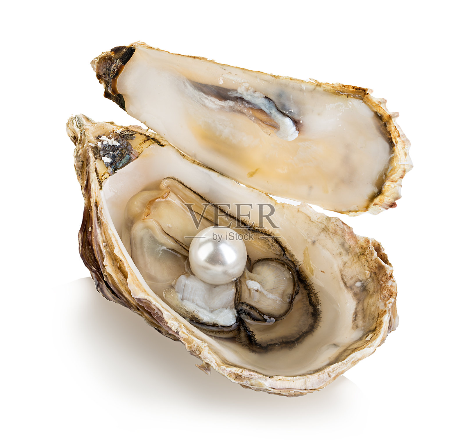 珍珠被孤立在白色背景上的牡蛎照片摄影图片