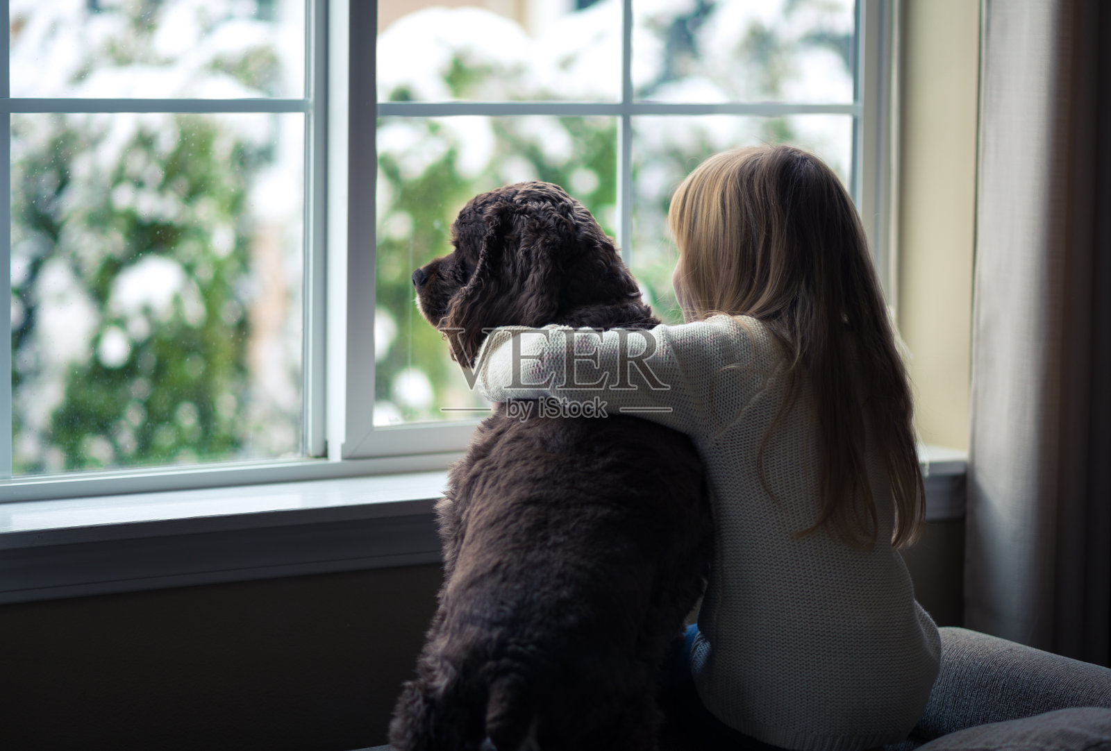 小女孩和她的狗往窗外看。照片摄影图片