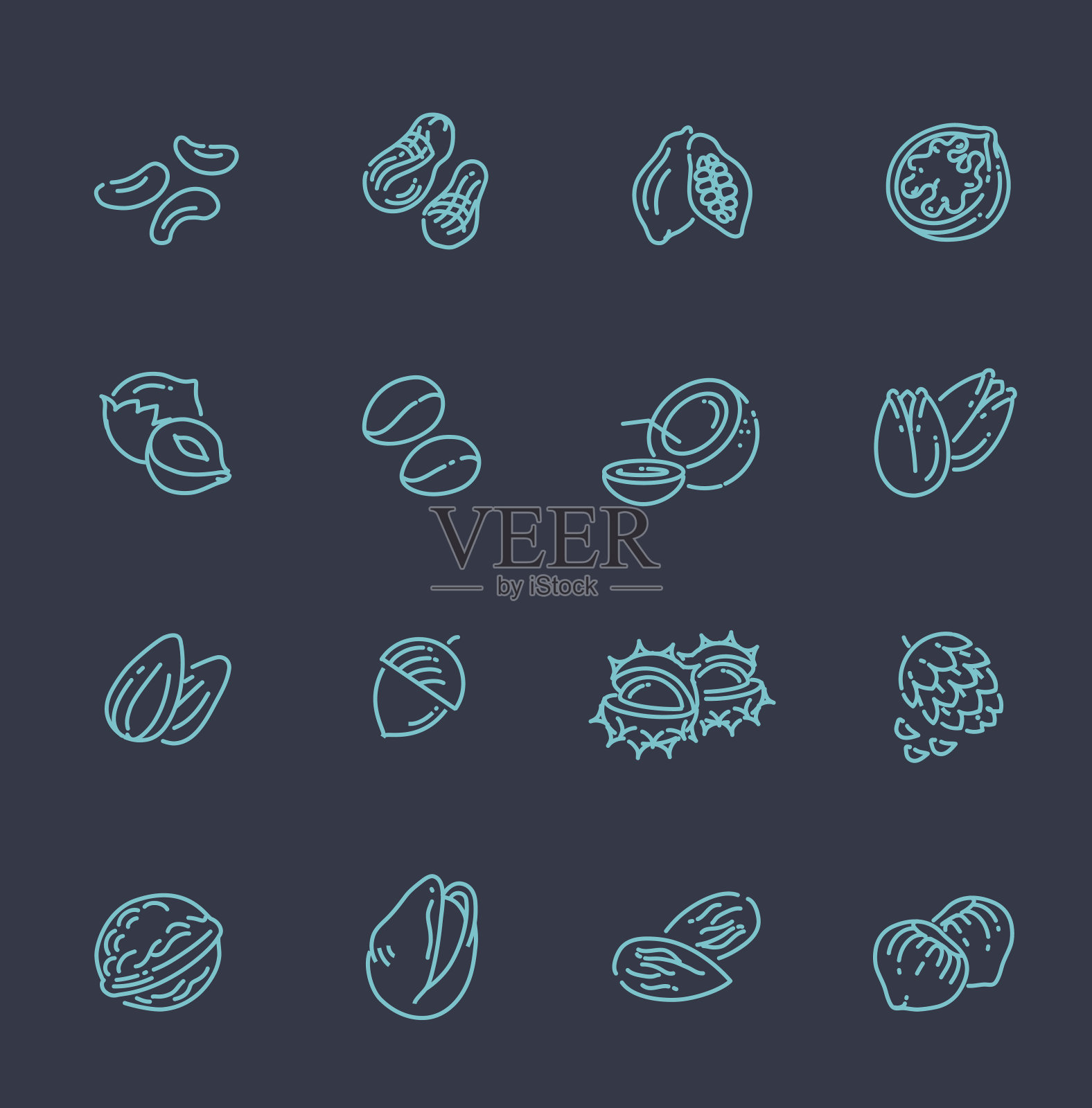 网页图标收集-坚果，豆类和种子插画图片素材