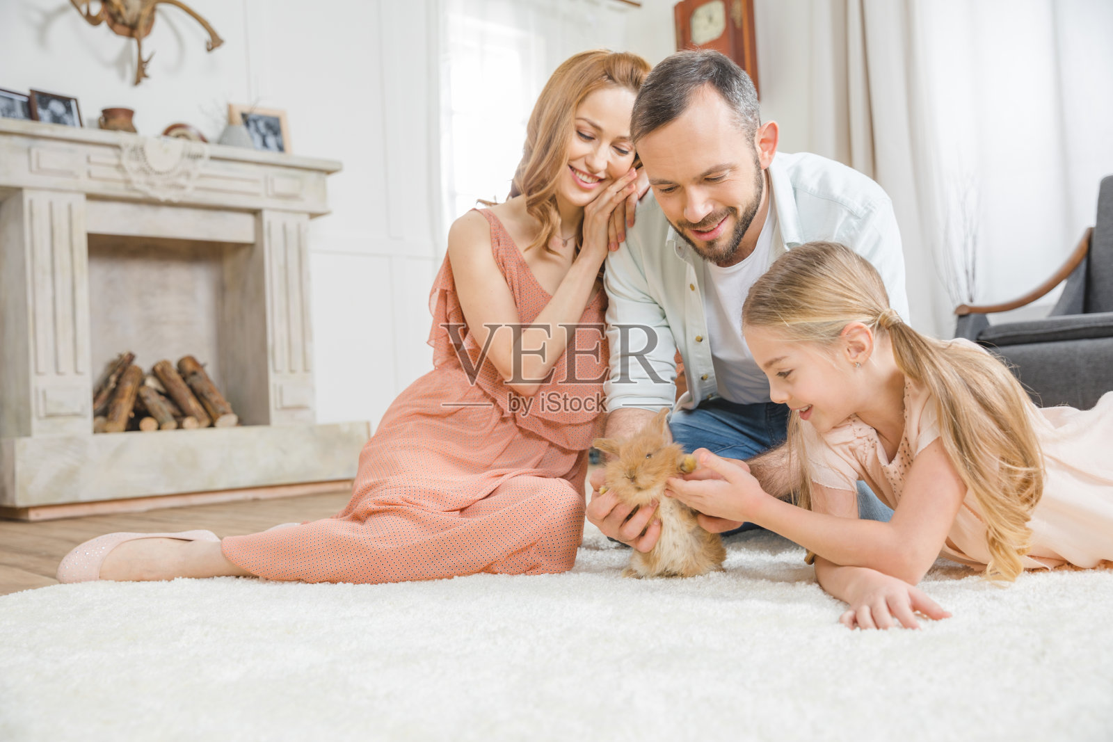 兔的幸福家庭照片摄影图片