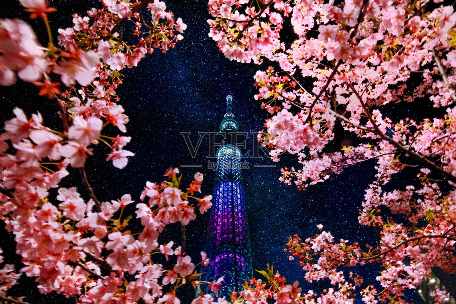 东京天空树塔照片摄影图片