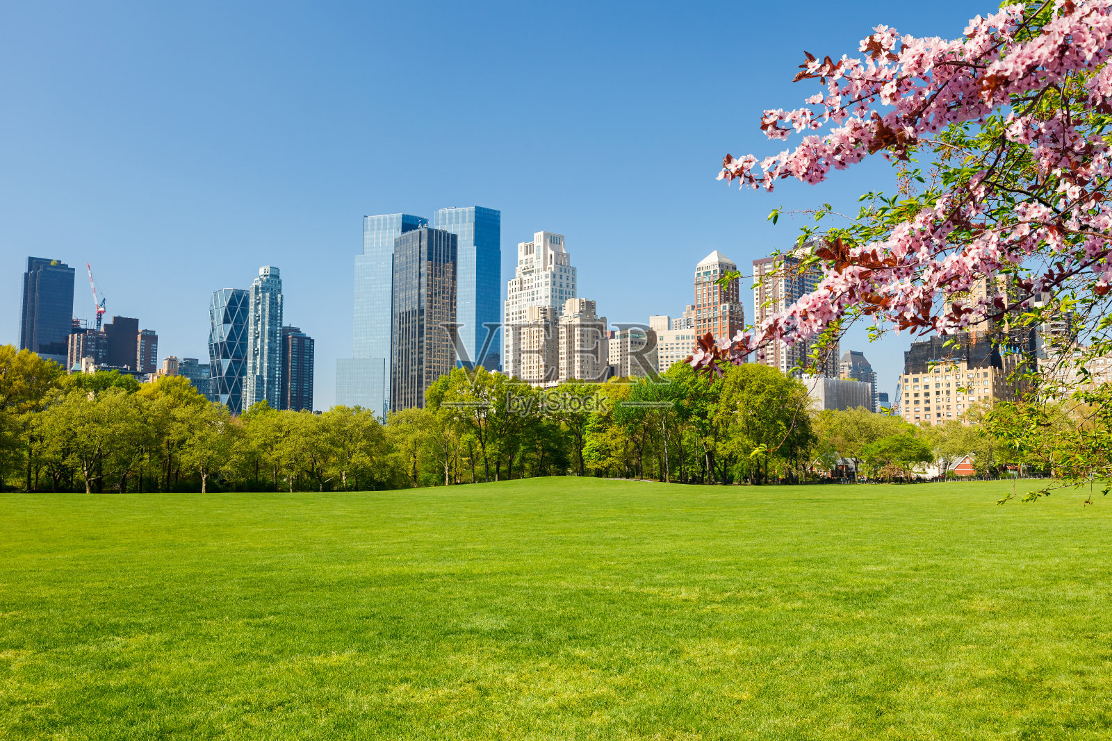 春天的纽约中央公园照片摄影图片
