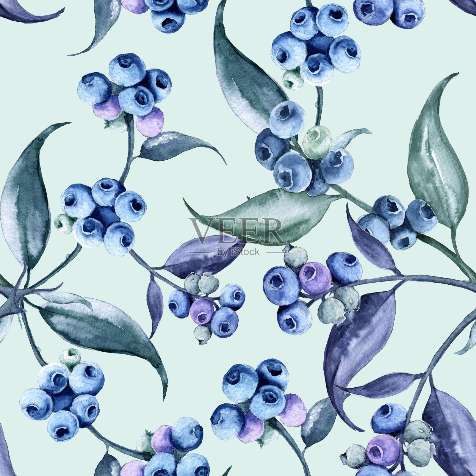 有蓝莓的树枝的背景。无缝模式。插画图片素材