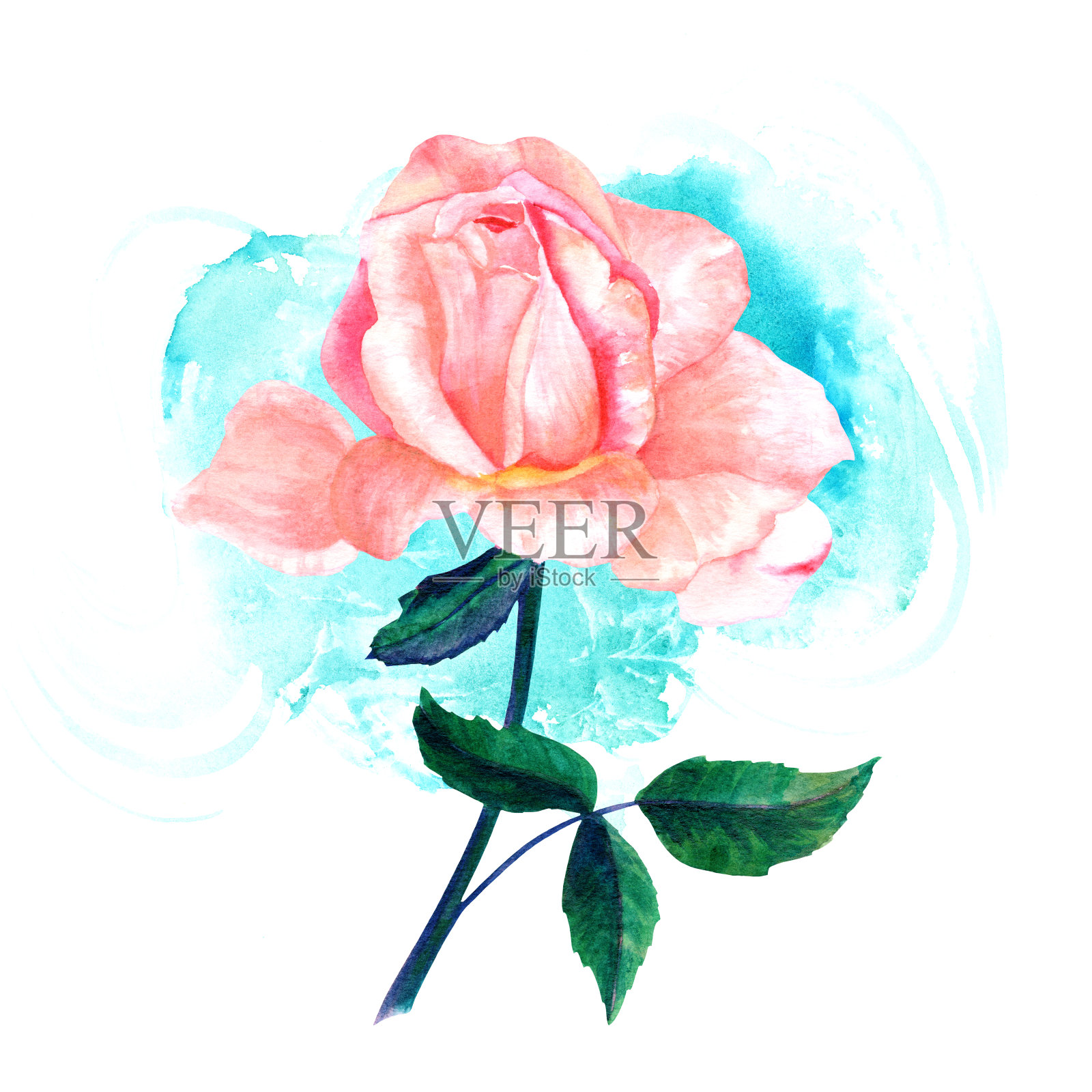 水彩粉红玫瑰画在绿松石笔触插画图片素材