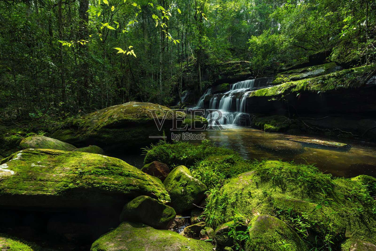 泰国国家公园的热带雨林瀑布照片摄影图片