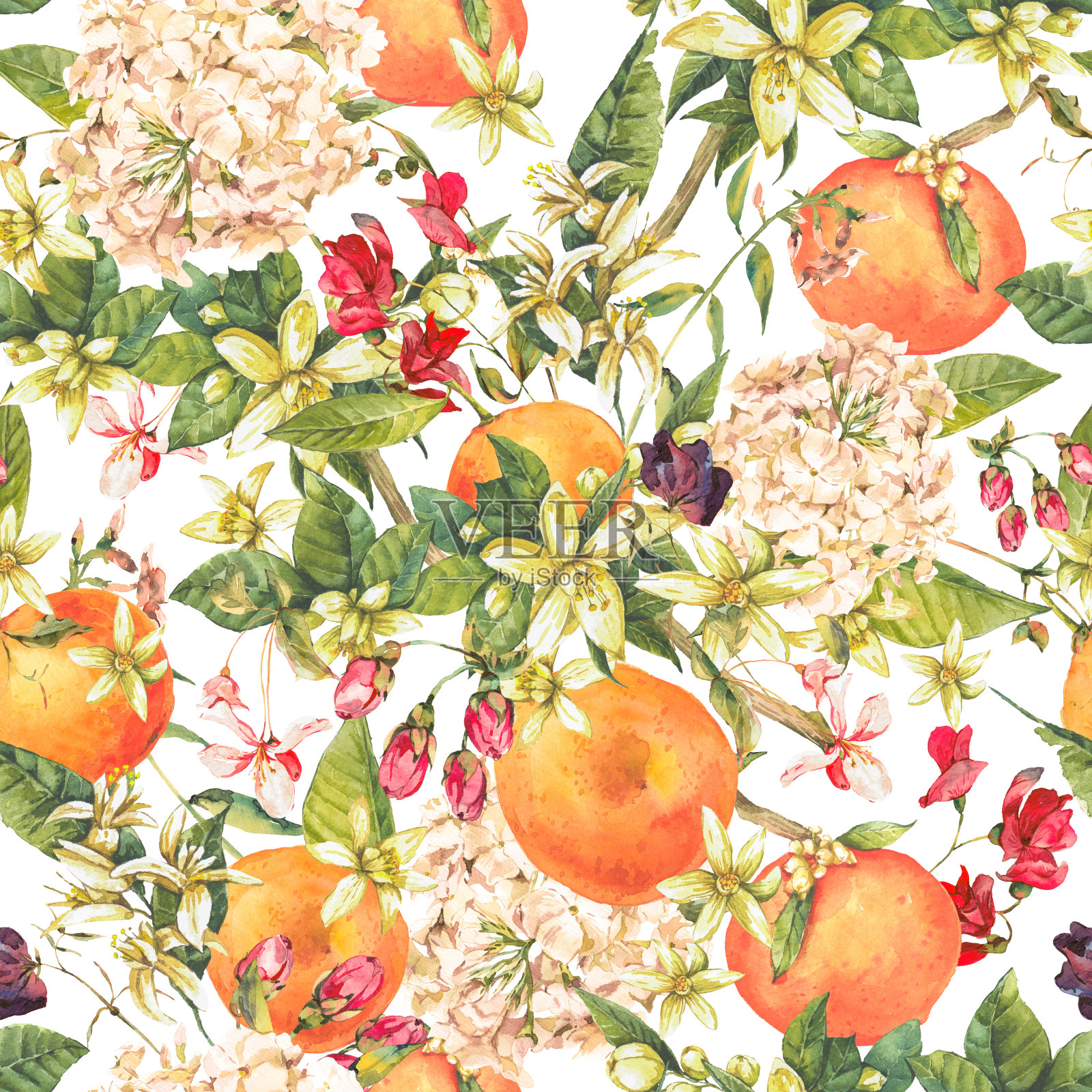 水彩花卉无缝图案与橙色小枝，夏季花插画图片素材