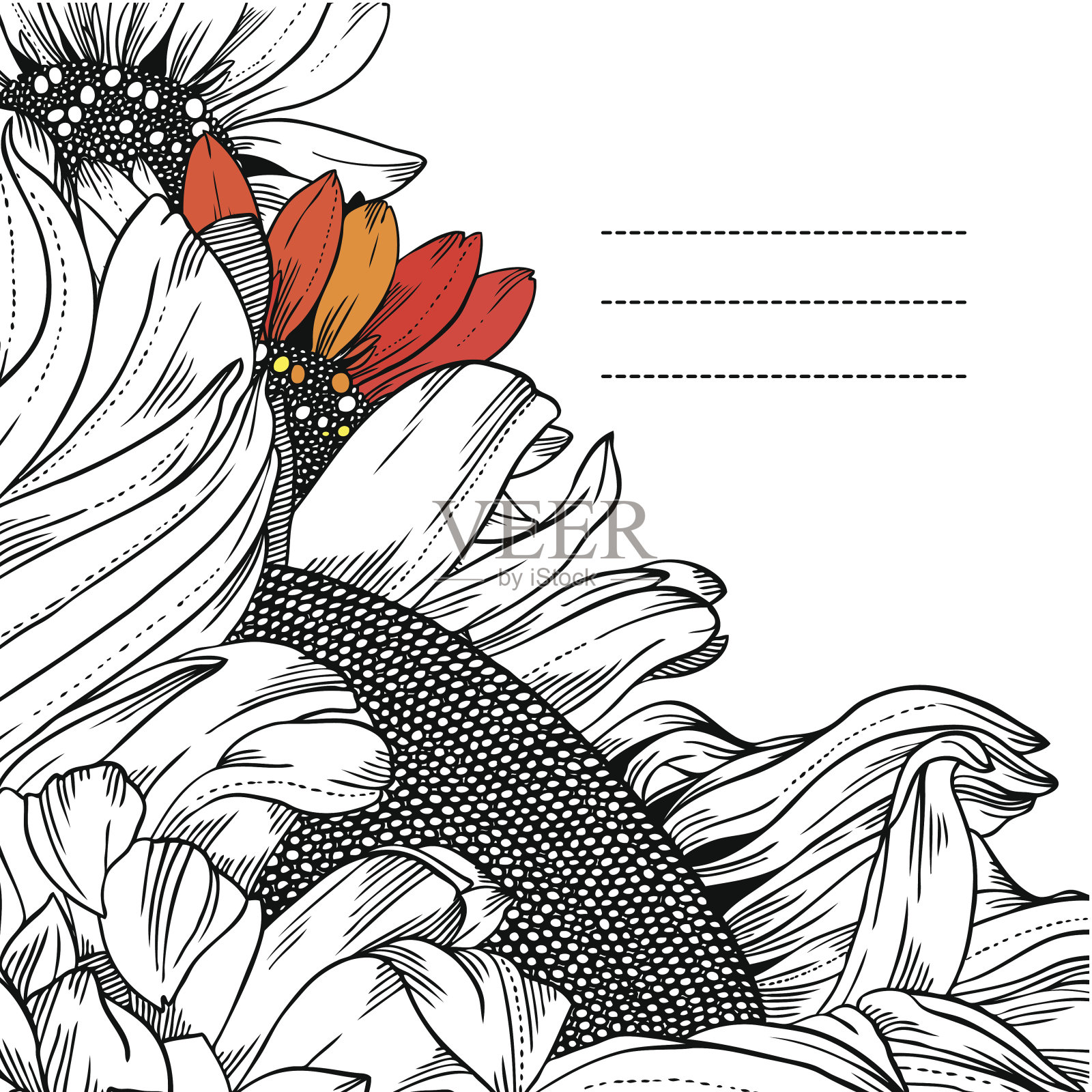 黑白向日葵的框架插画图片素材