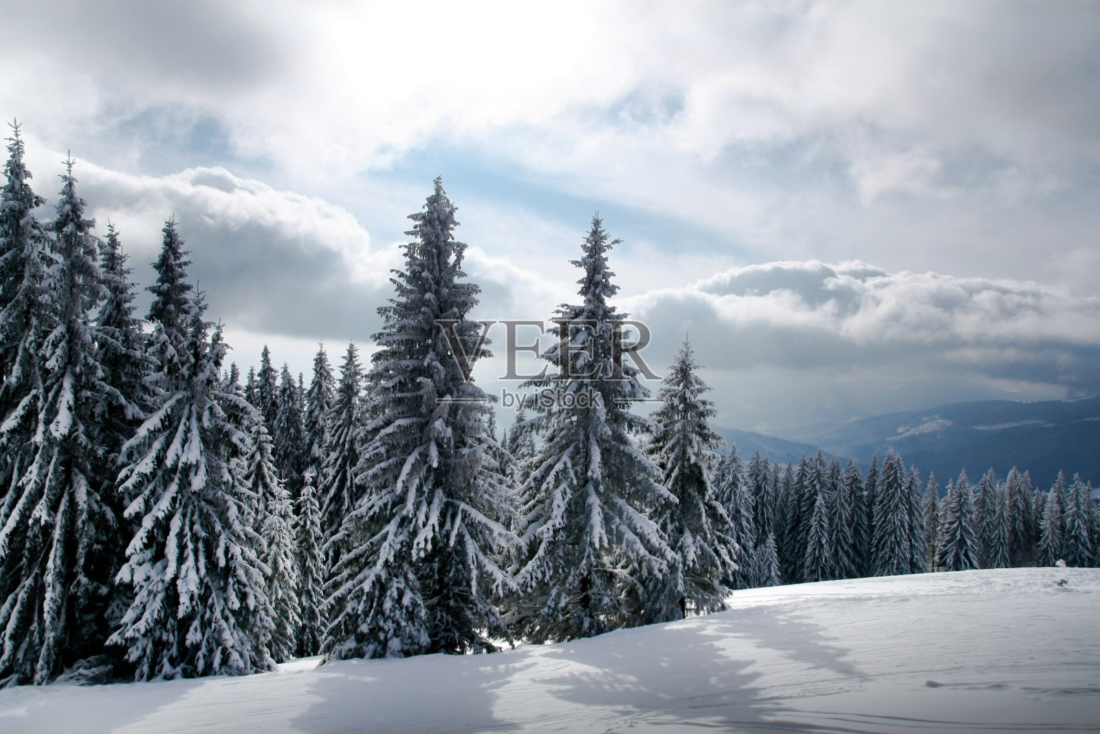 喀尔巴阡山脉的冬天照片摄影图片