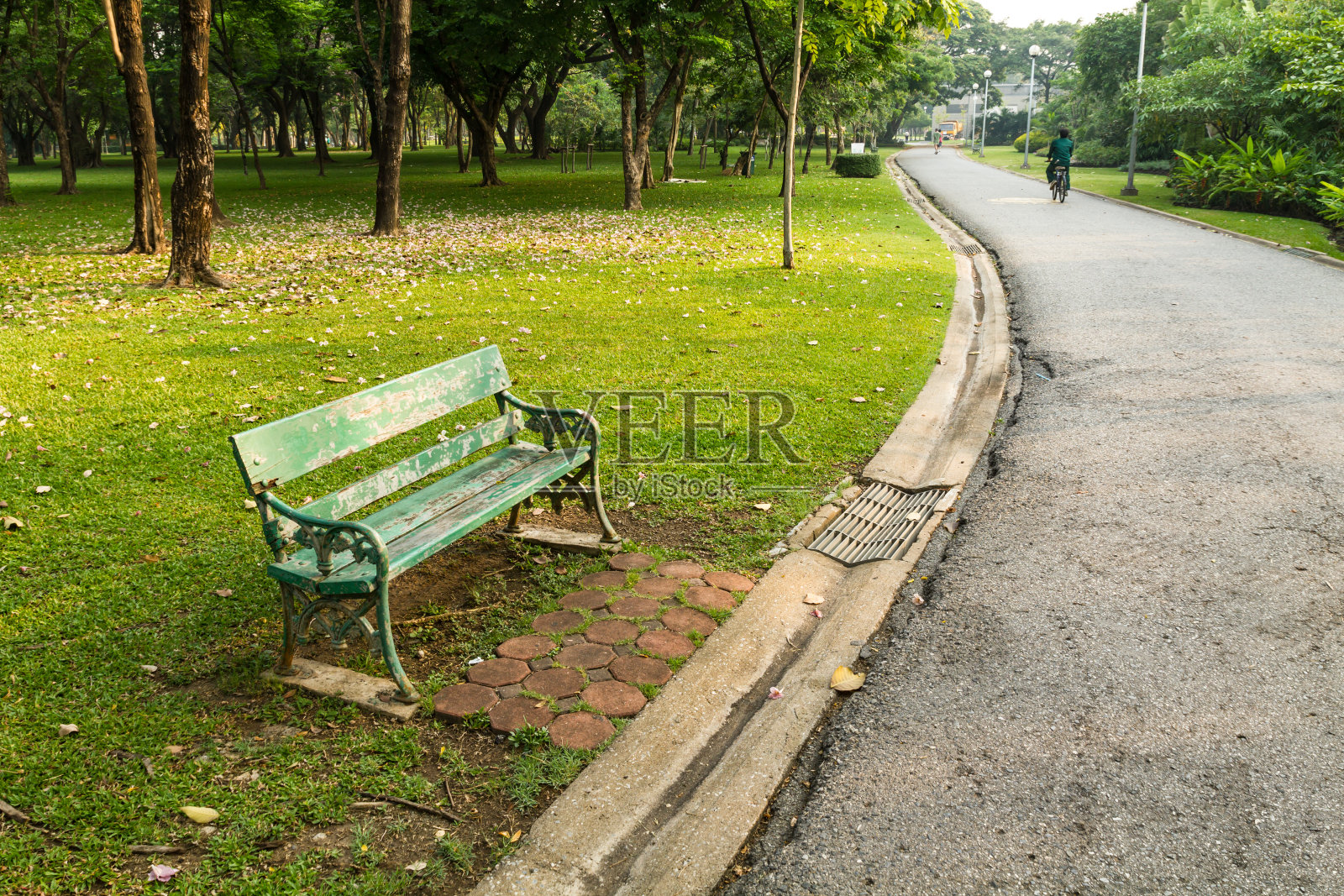 公园里的绿色长凳照片摄影图片