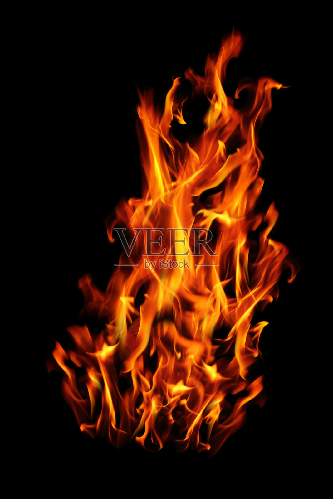 燃烧的火孤立在白色照片摄影图片