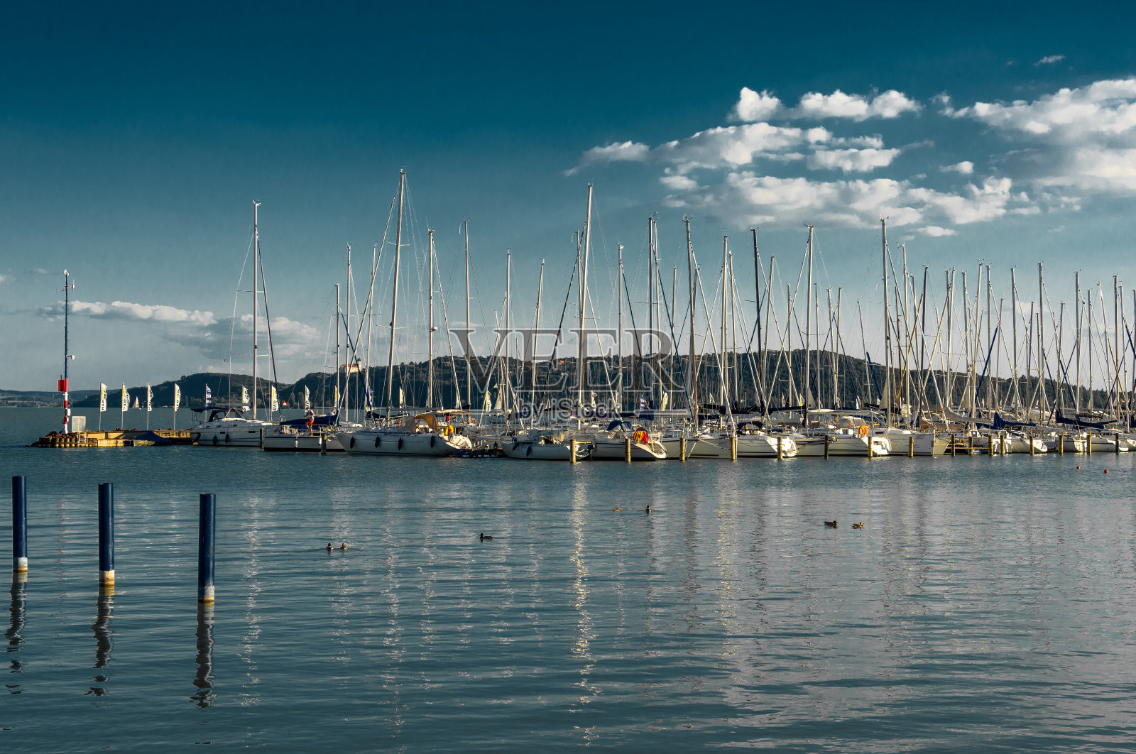 匈牙利巴拉顿湖港口的帆船照片摄影图片