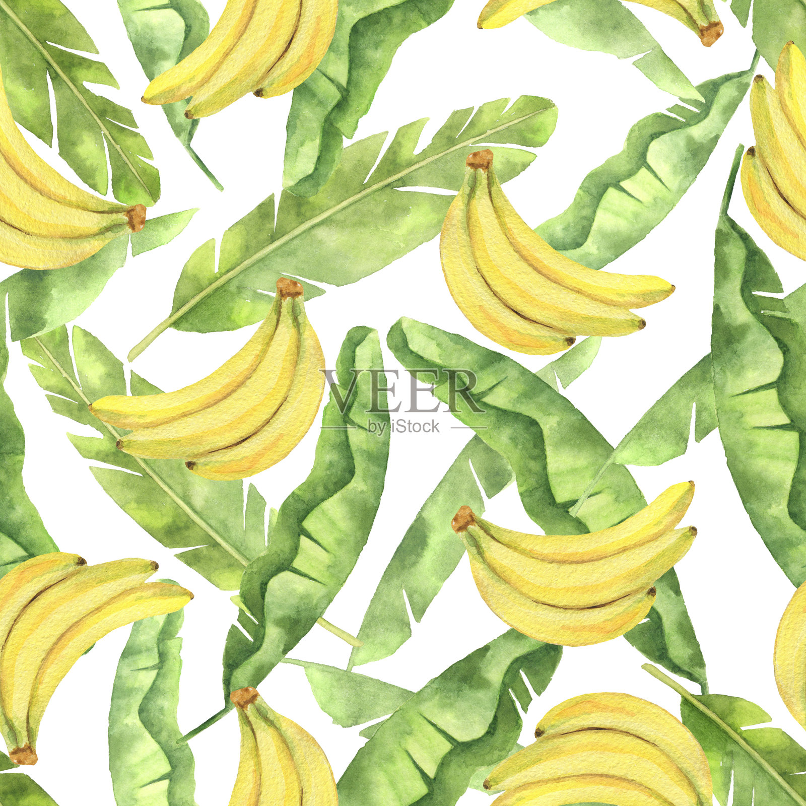 水彩无缝模式与热带绿叶和黄色香蕉孤立在白色背景。插画图片素材