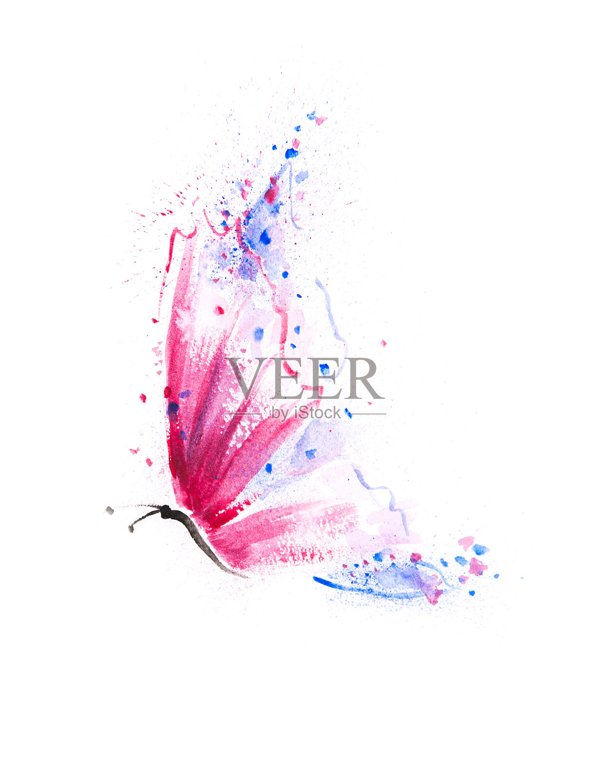 漂亮的手工绘制的蝴蝶与充满活力的粉红色，紫色和蓝色的翅膀插画图片素材