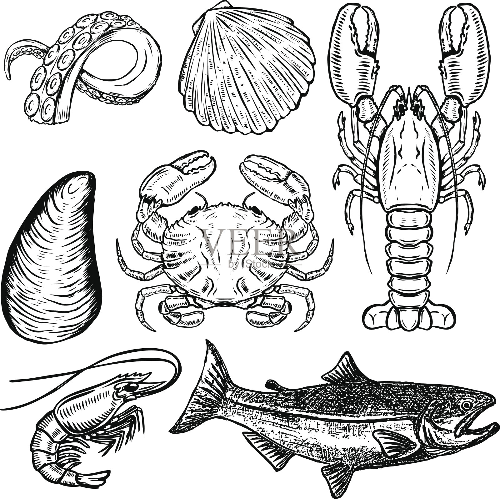 一套手绘海鲜插图。设计元素海报，菜单。牡蛎，螃蟹，虾，鲑鱼，龙虾。矢量图设计元素图片