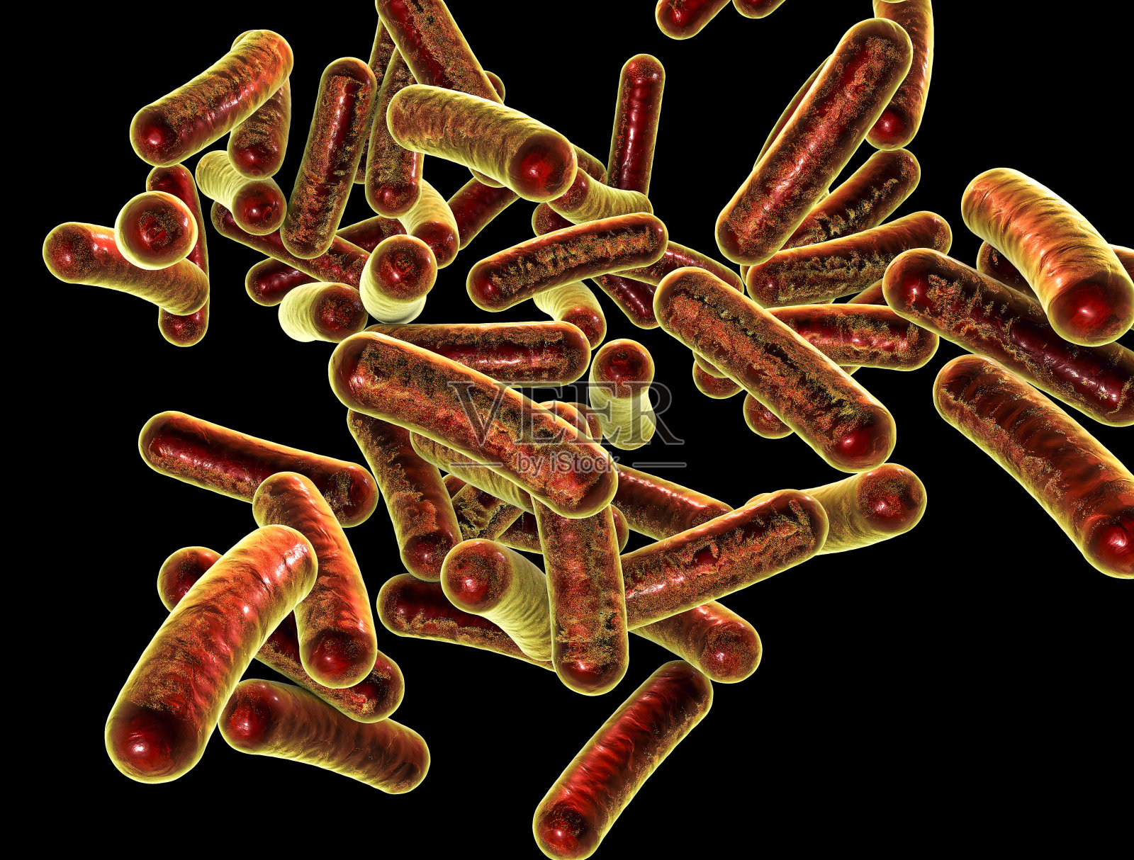 细菌性志贺氏菌，可引起食源性感染志贺氏菌病照片摄影图片