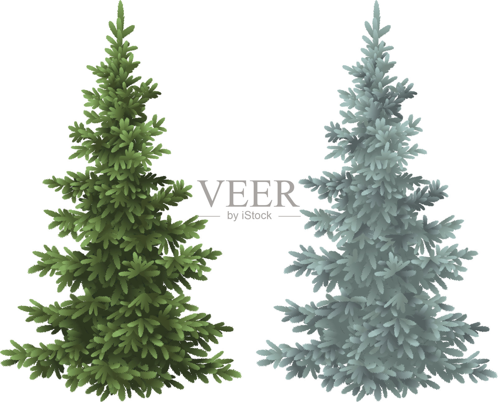 圣诞绿油油的云杉和蓝色的杉树设计元素图片