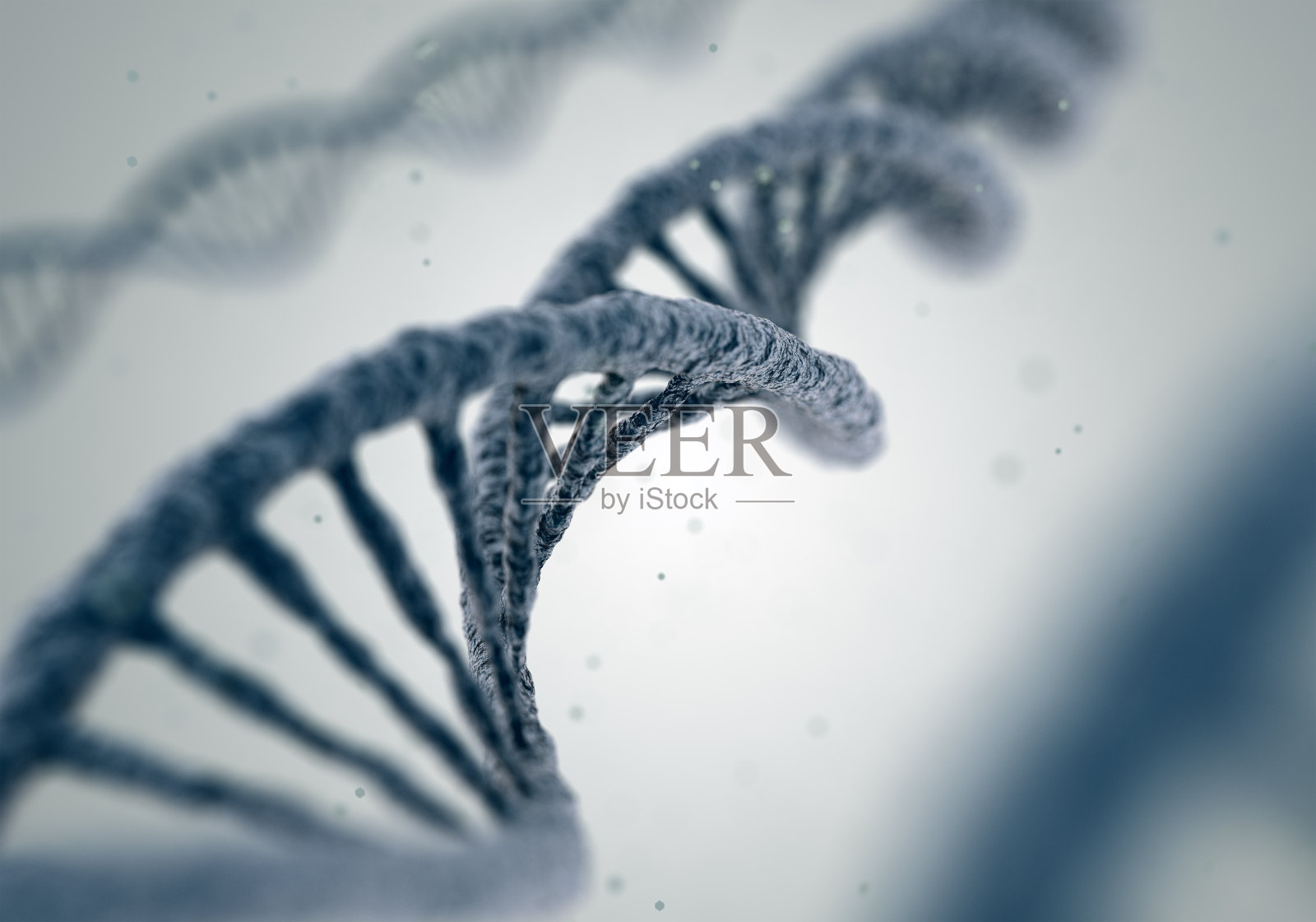 白色背景上的DNA分子照片摄影图片