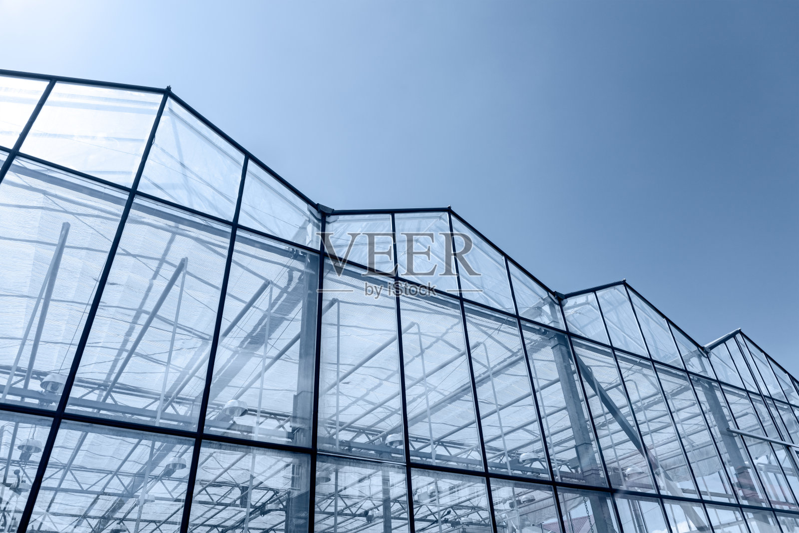 农业温室的透明玻璃墙映衬着蓝天照片摄影图片