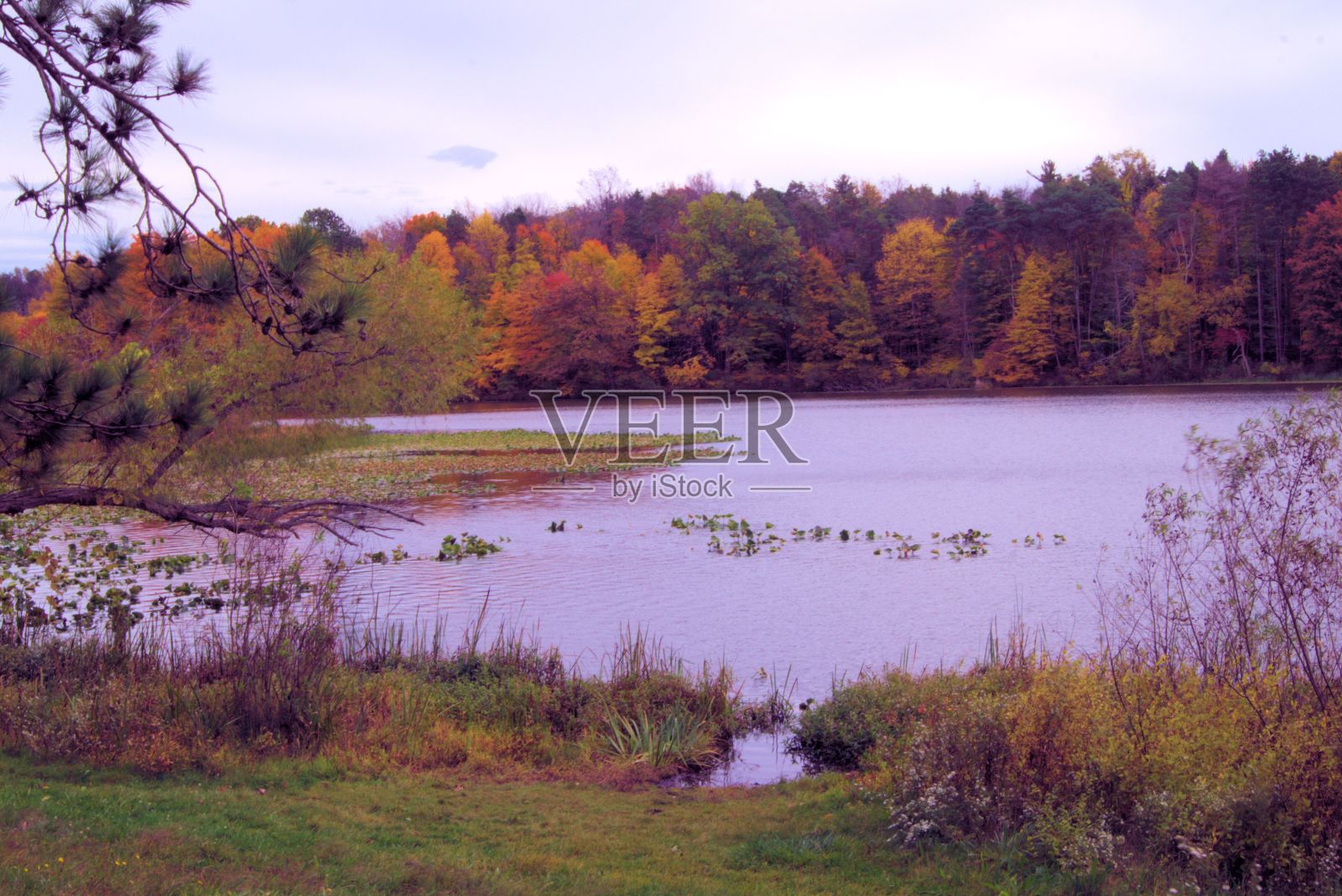 秋季湖景照片摄影图片