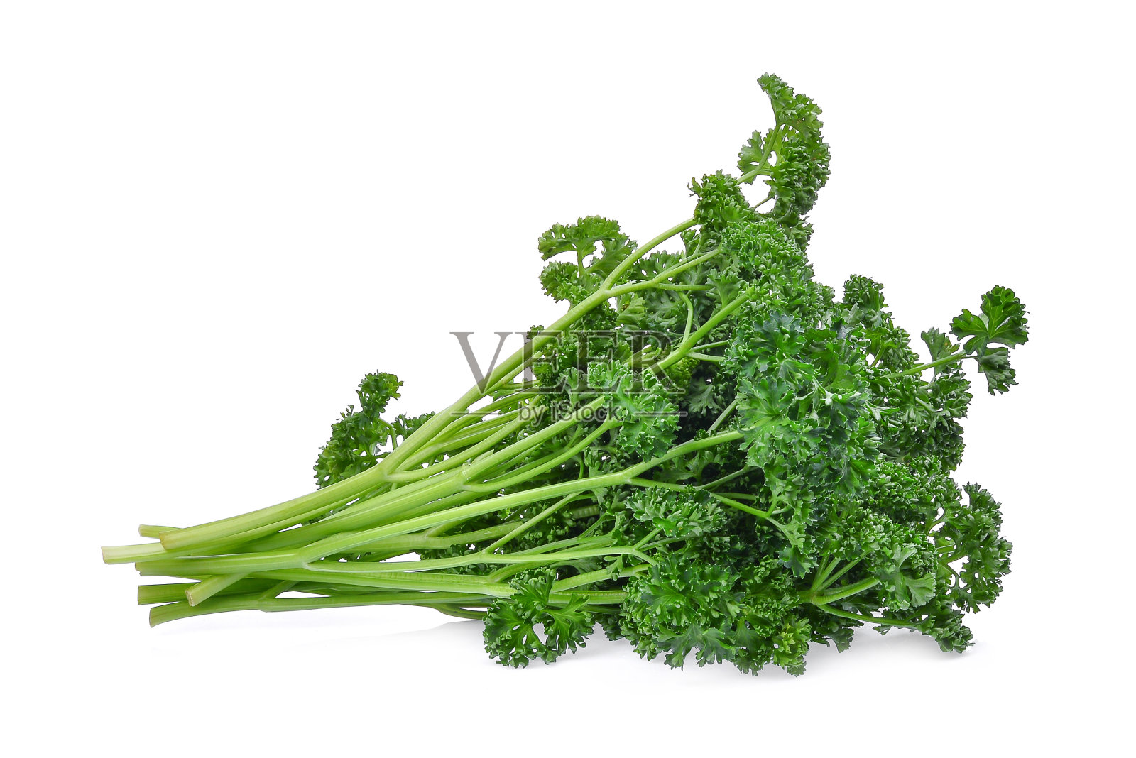 绿色新鲜欧芹健康蔬菜孤立在白色背景照片摄影图片
