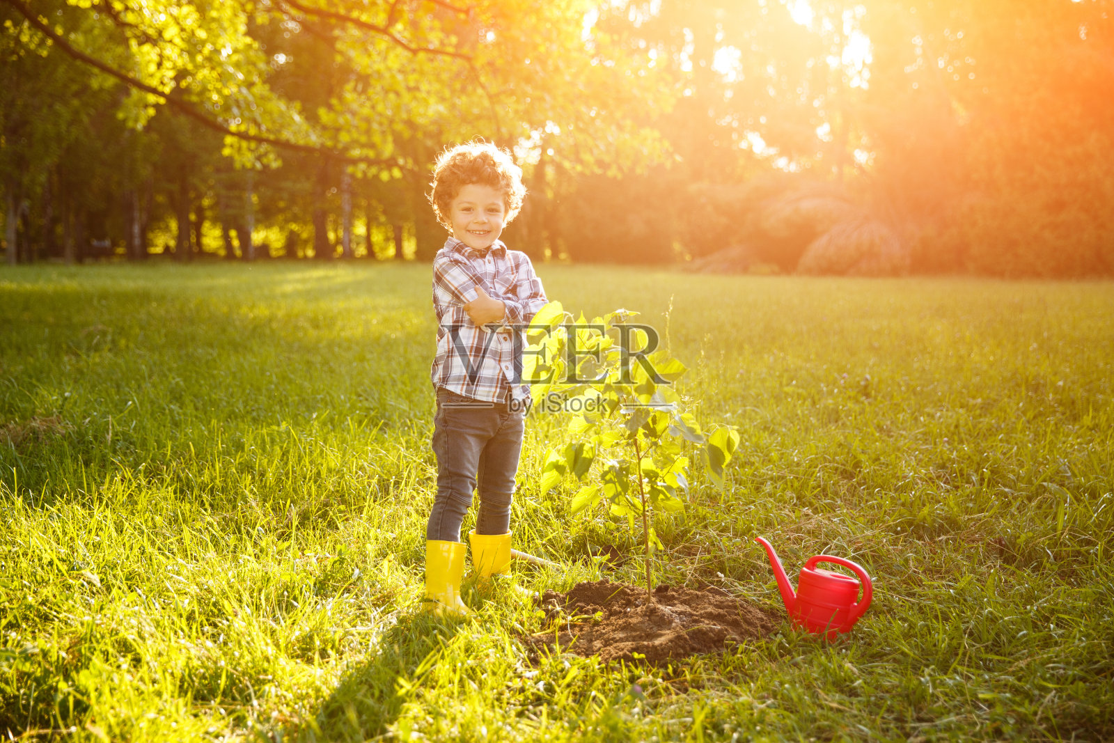 可爱的小男孩为种树而自豪照片摄影图片