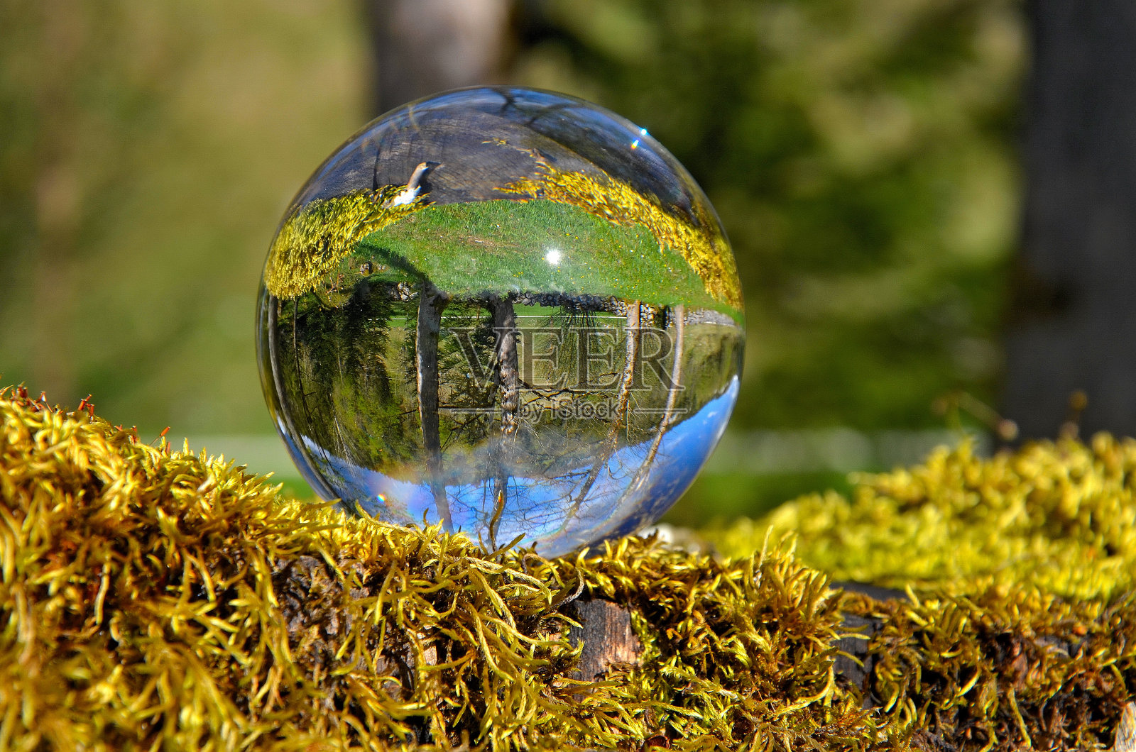 苔藓上的水晶球照片摄影图片
