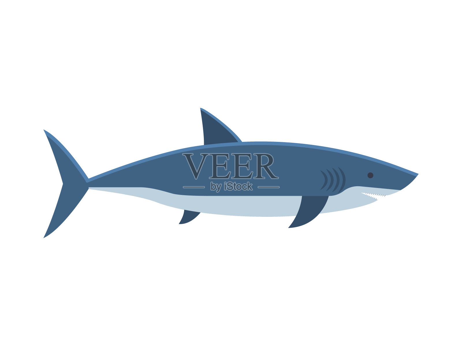 大白鲨矢量插图插画图片素材