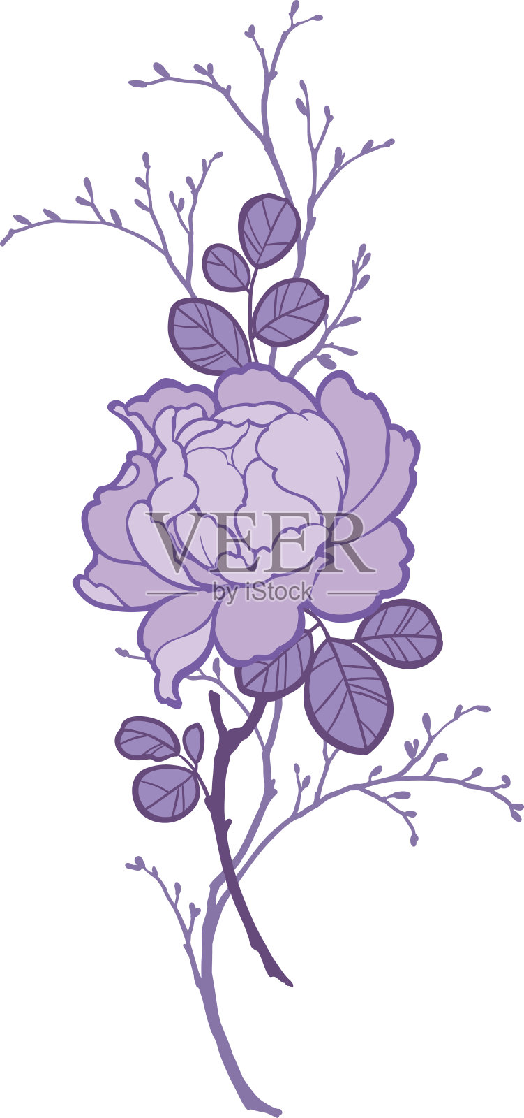 手绘组牡丹玫瑰花装饰。插画图片素材