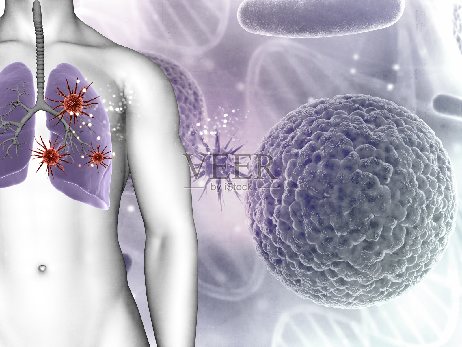 3D医学背景显示男性肺部病毒细胞照片摄影图片
