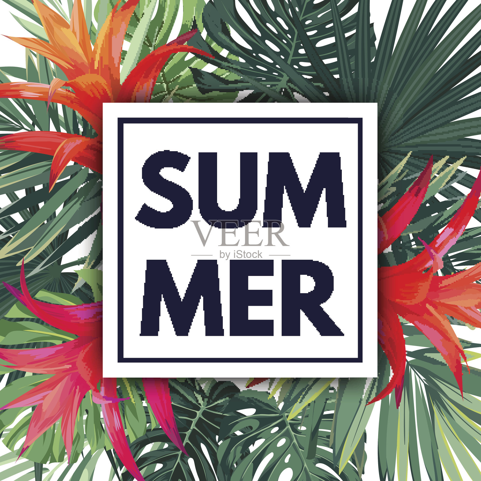 绿色植物夏季热带设计棕榈叶和异国情调的红花。向量的模板插画图片素材