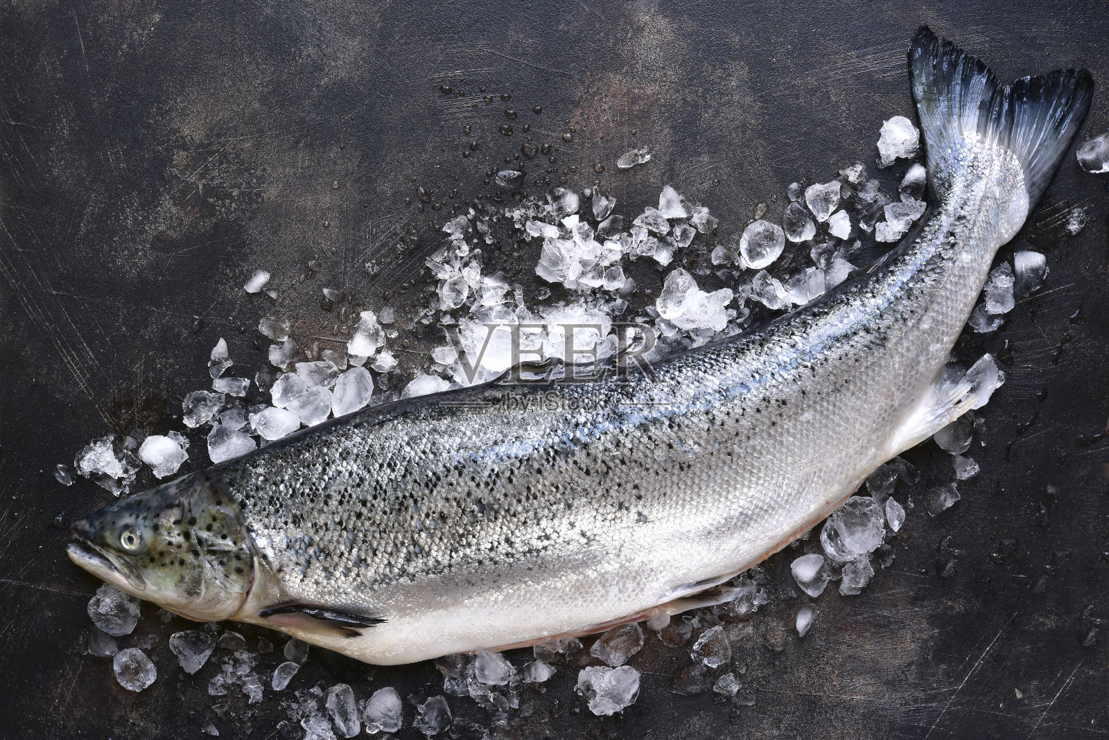 生的新鲜的有机鲑鱼在冰上照片摄影图片