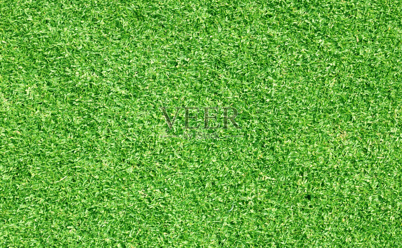 绿草的背景设计元素图片
