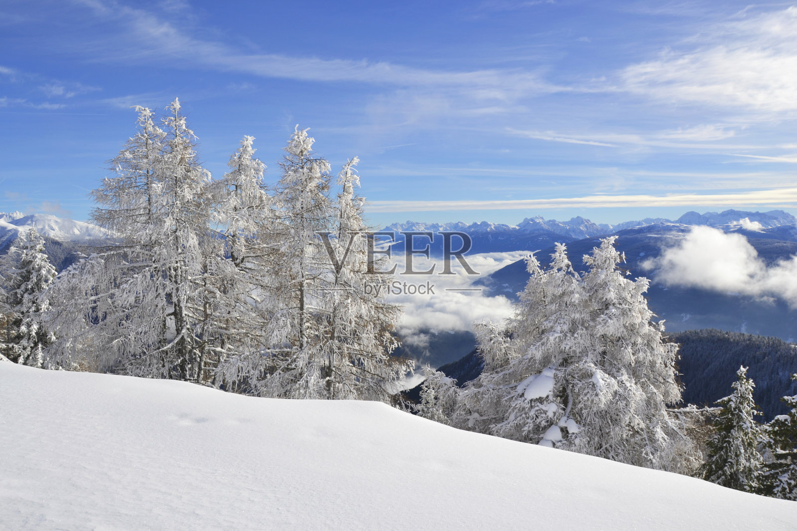 南蒂罗尔的雪景，树木的积雪负荷照片摄影图片