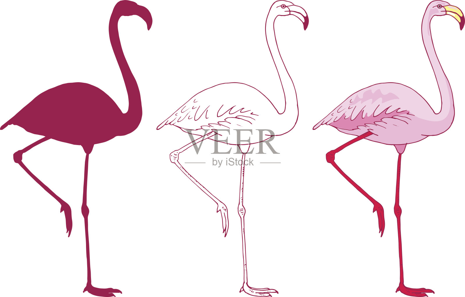 一套向量粉红色火烈鸟插图的颜色，轮廓，轮廓插画图片素材